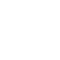 shuttle 01